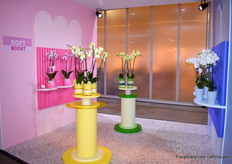 Mooi concept van Sion.